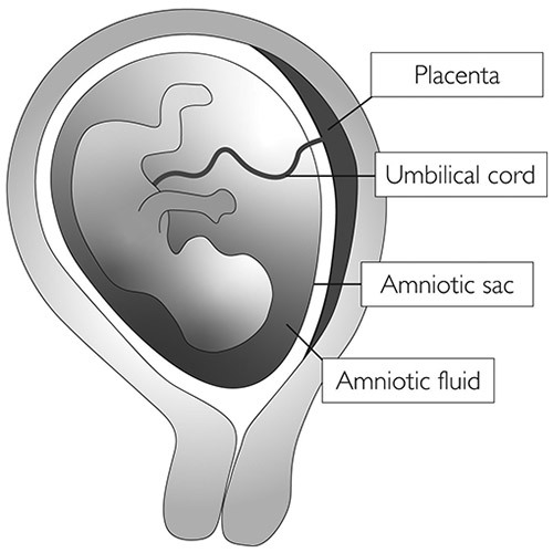 Water Breaking: Signs, Timing, Causes, Complications