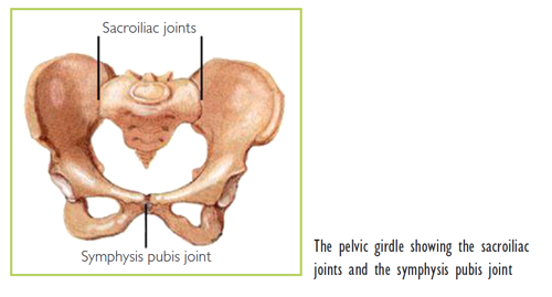 Pelvic girdle pain and pregnancy